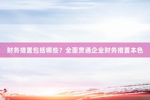 财务措置包括哪些？全面贯通企业财务措置本色