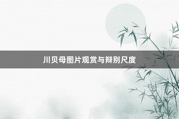 川贝母图片观赏与辩别尺度